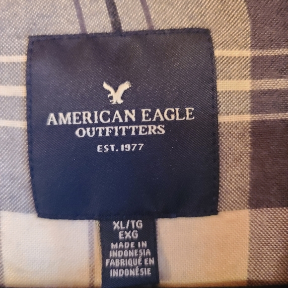 American eagle - Picture 4 of 4